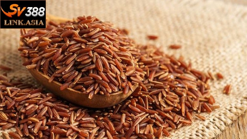 Gạo lứt cũng chứa vitamin B1 dồi dào, tốt cho gà đá